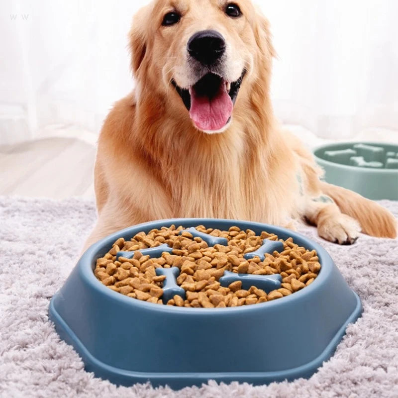 Anti-Choke Slow Feeder Dog Bowl