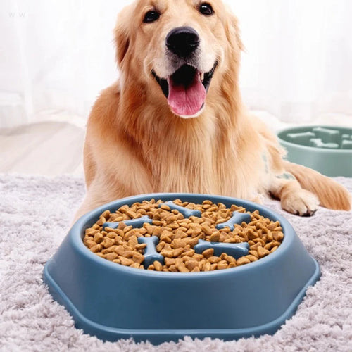 Anti-Choke Slow Feeder Dog Bowl