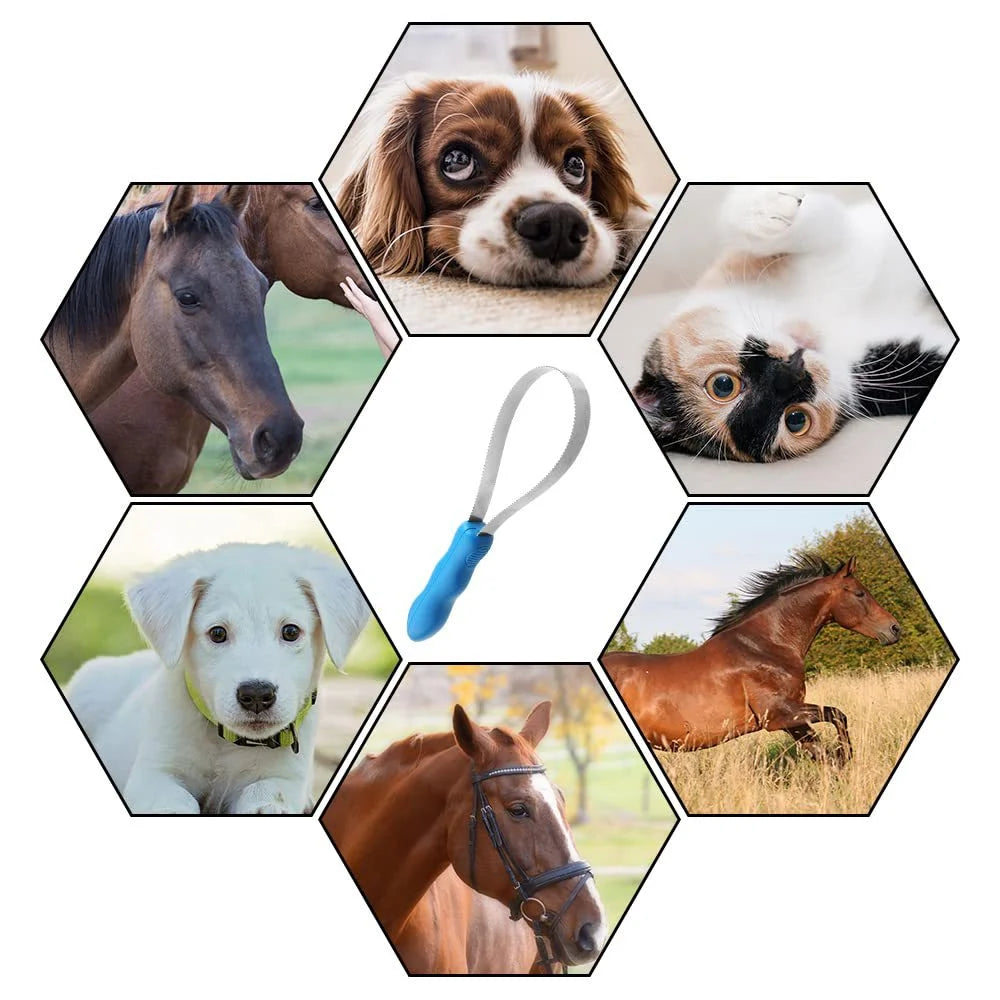 Pet Hair Removal Tool