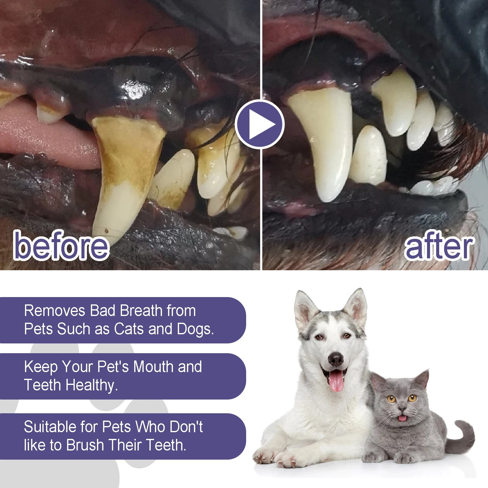 Pet Teeth Cleaning Gel Pen