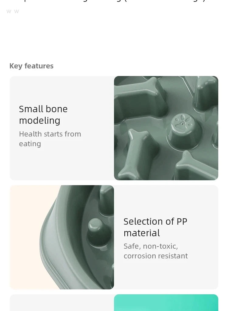 Anti-Choke Slow Feeder Dog Bowl