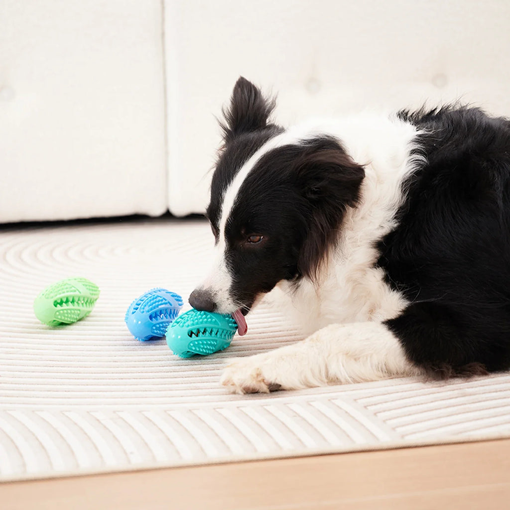 Interactive Rubber Dog Chew Ball
