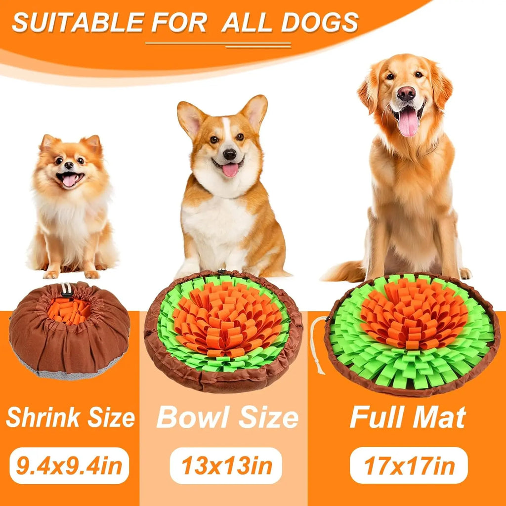 Interactive Dog Snuffle Mat