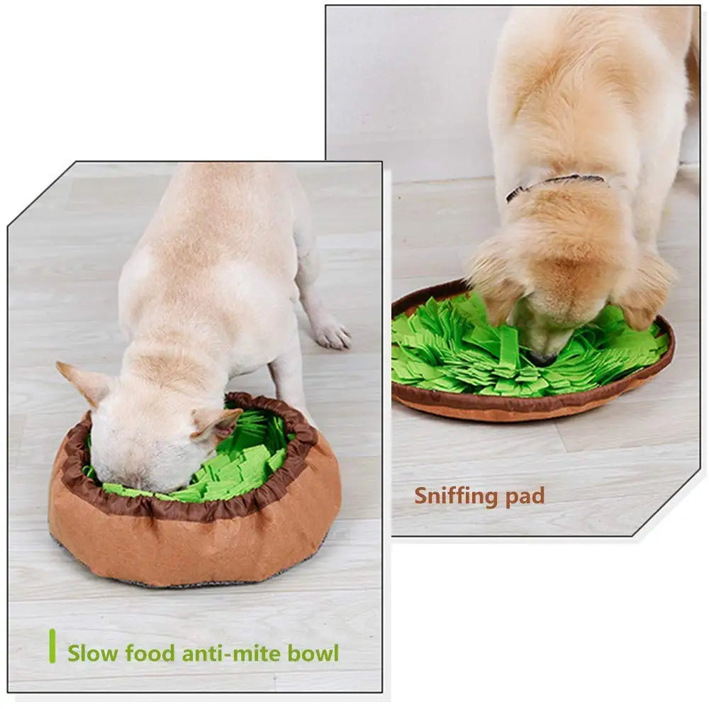 Interactive Dog Snuffle Mat