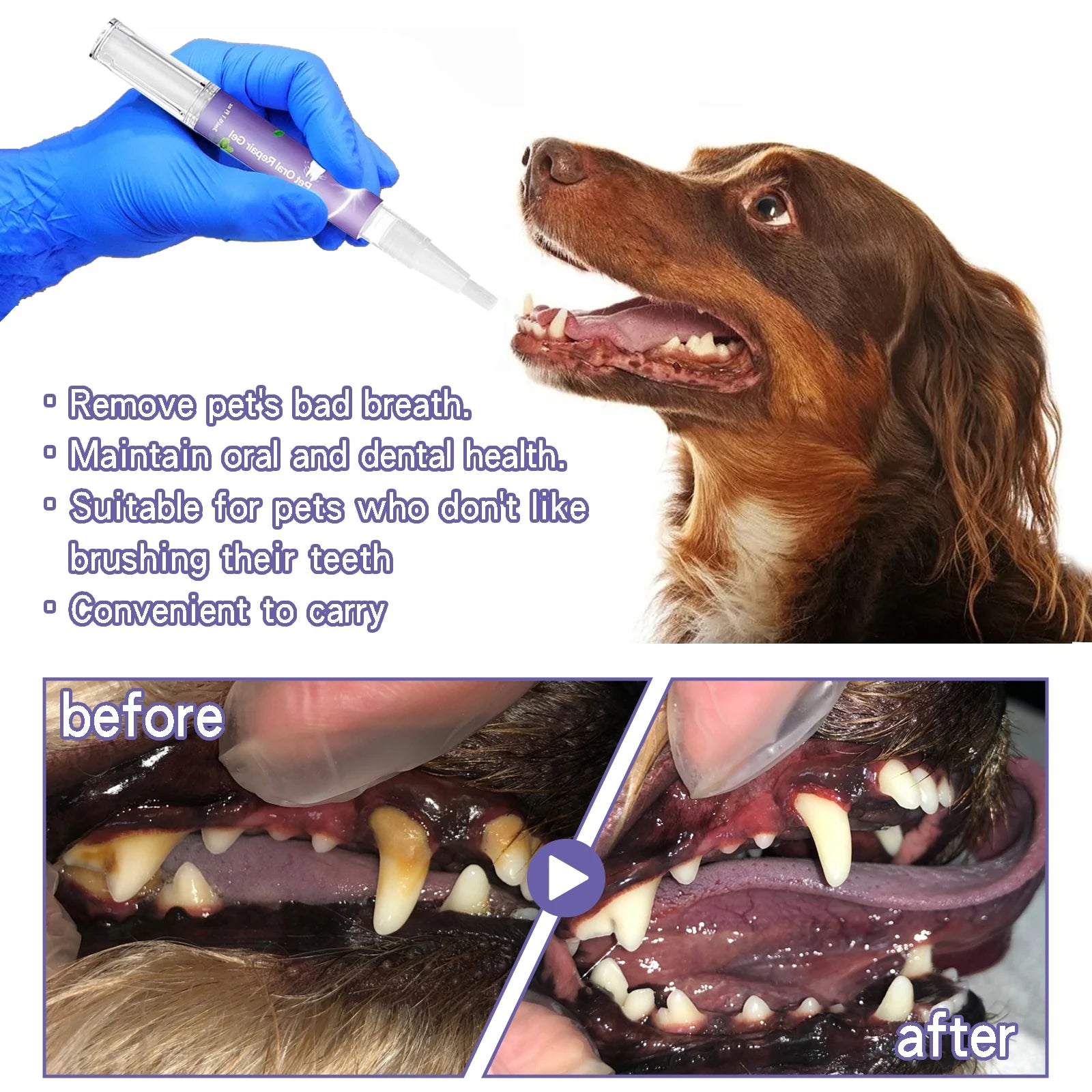 Pet Teeth Cleaning Gel Pen