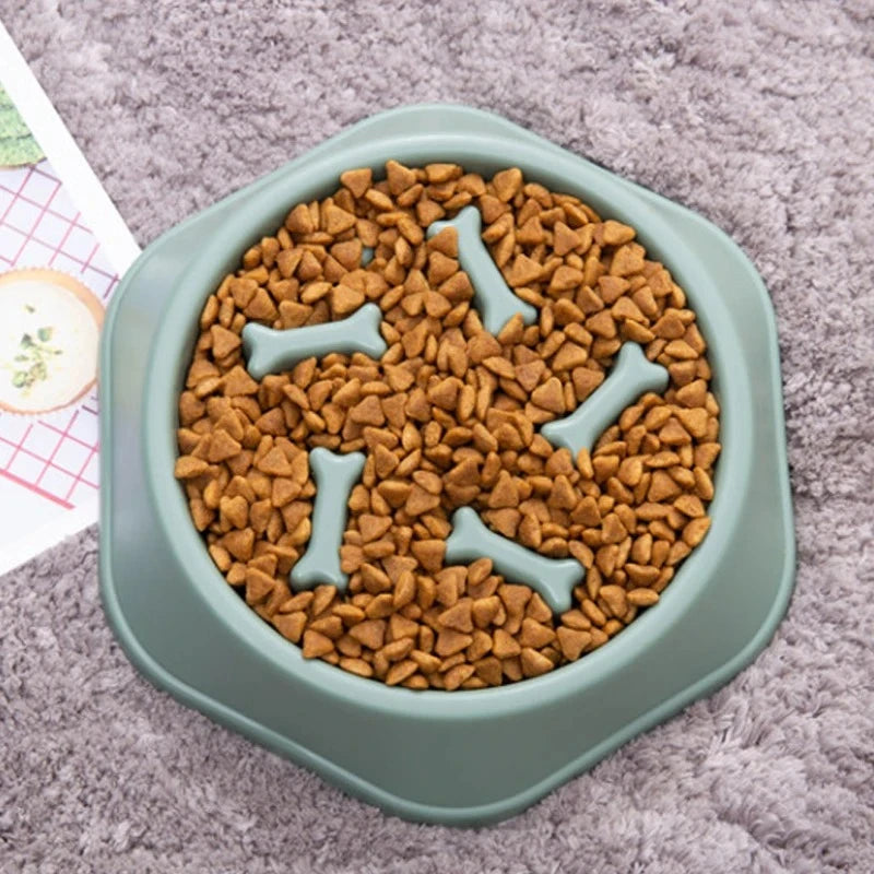 Anti-Choke Slow Feeder Dog Bowl