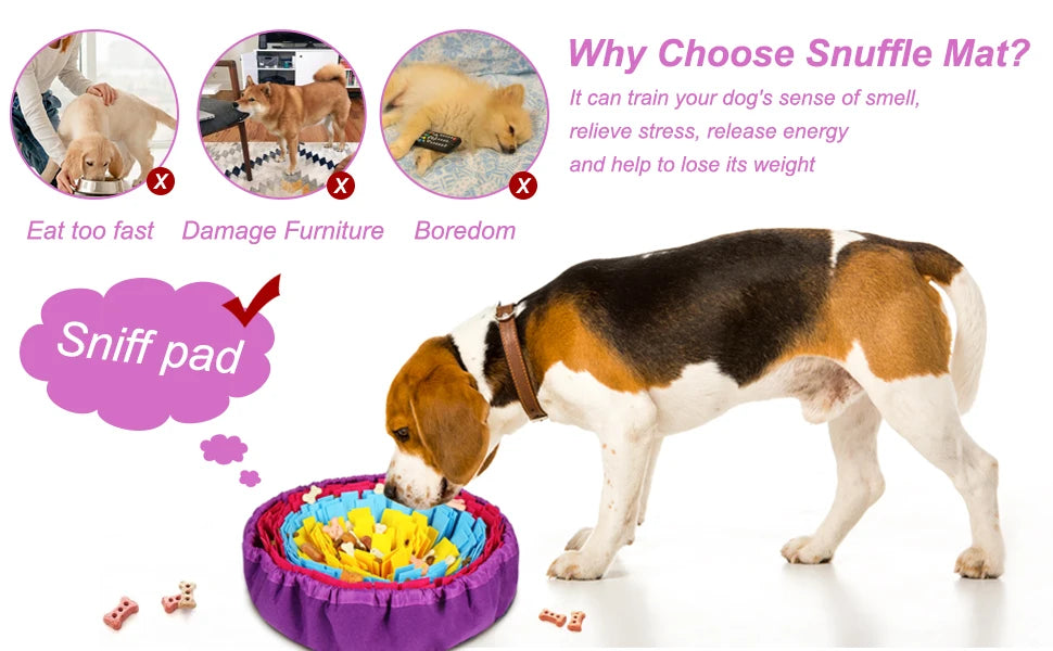 Interactive Dog Snuffle Mat