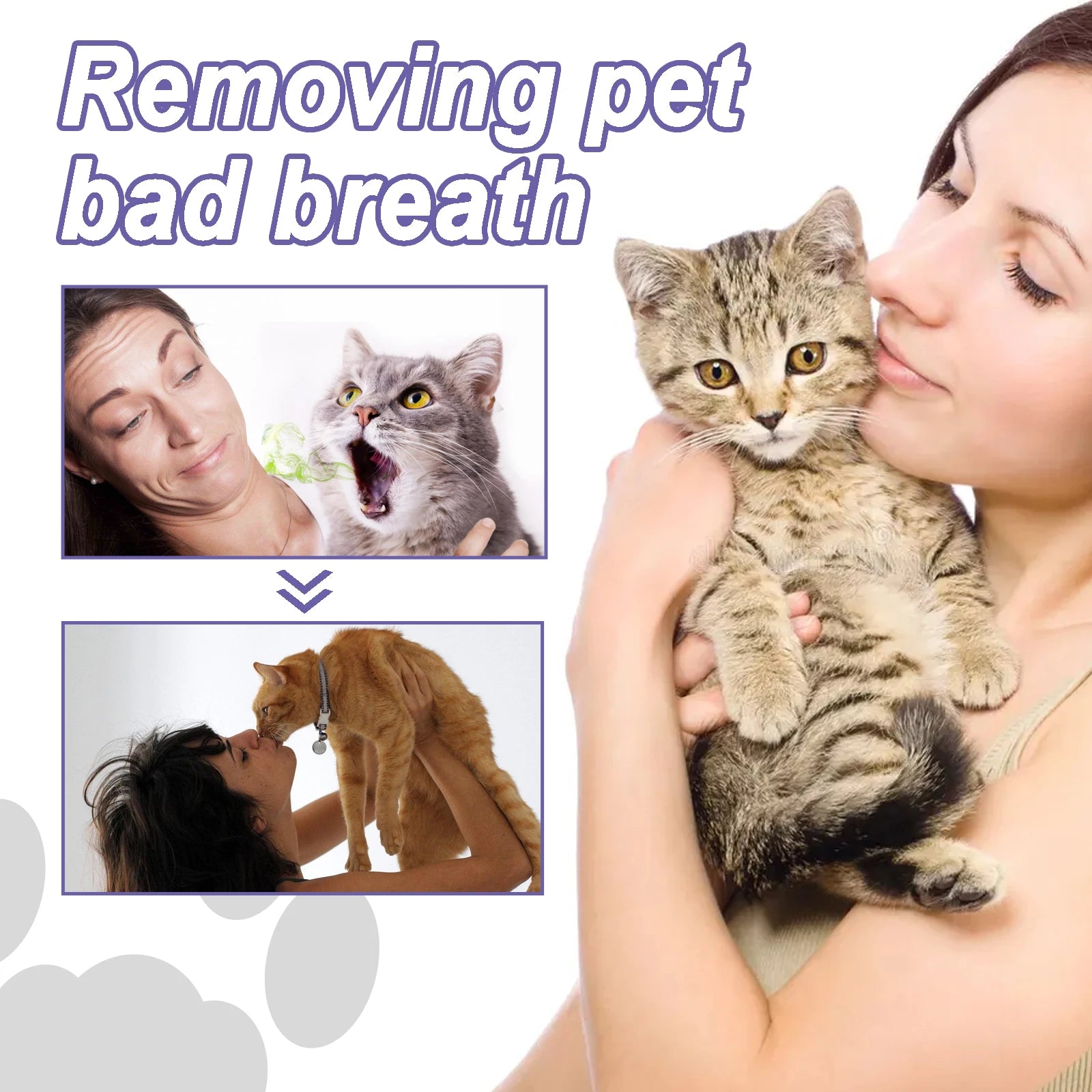 Pet Teeth Cleaning Gel Pen