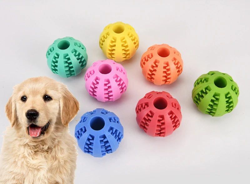 Treat Dispensing Dog Chew Ball